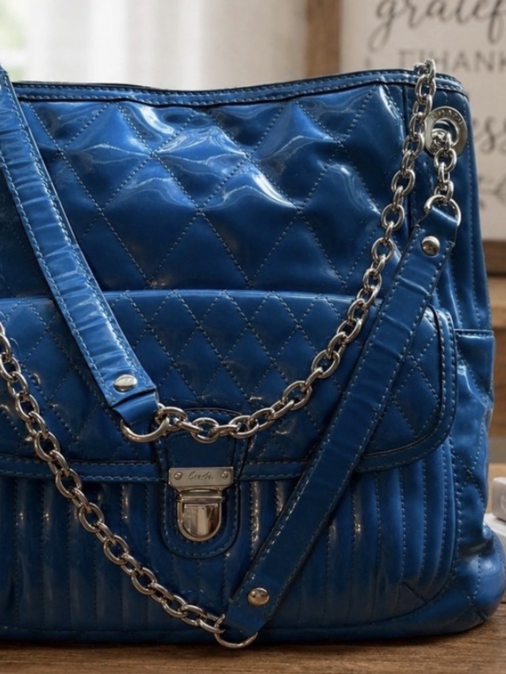 ISO OF HANGTAG FOR THIS COACH POPPY BAG.
